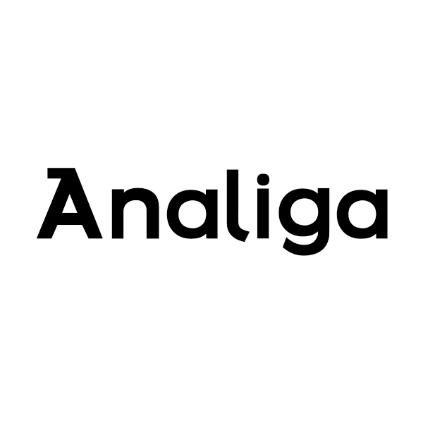 Analiga.com